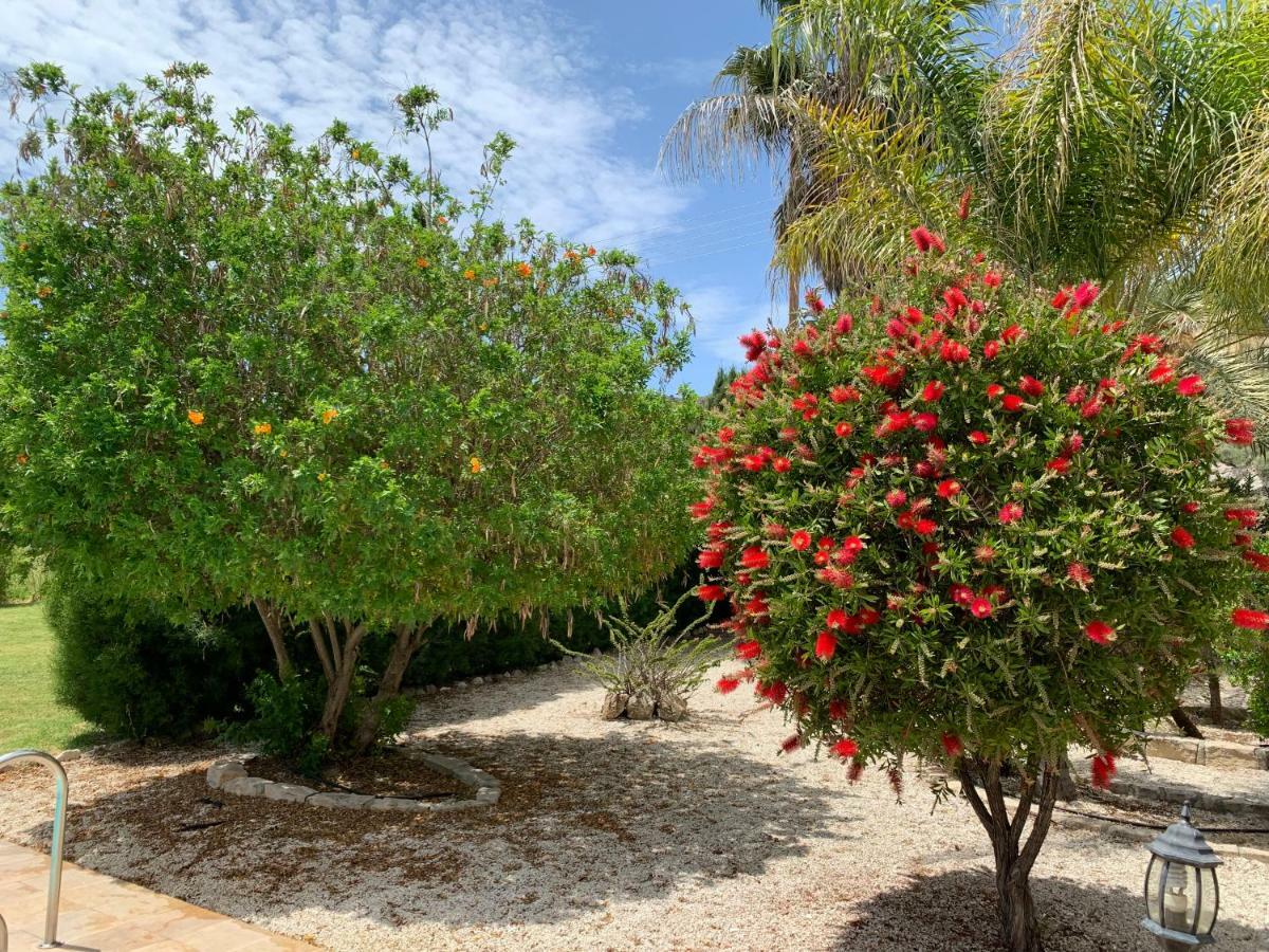 Perigiali Pissouri