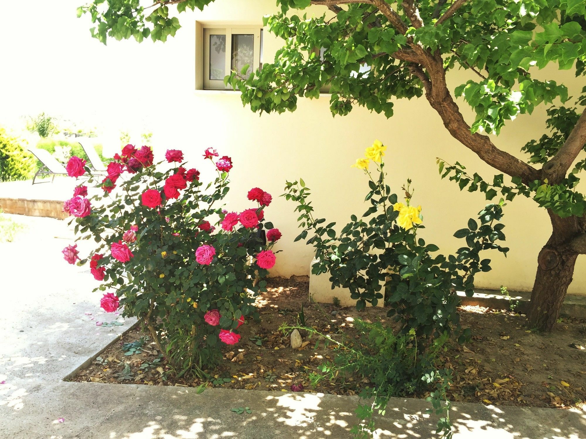 Himonas Pissouri