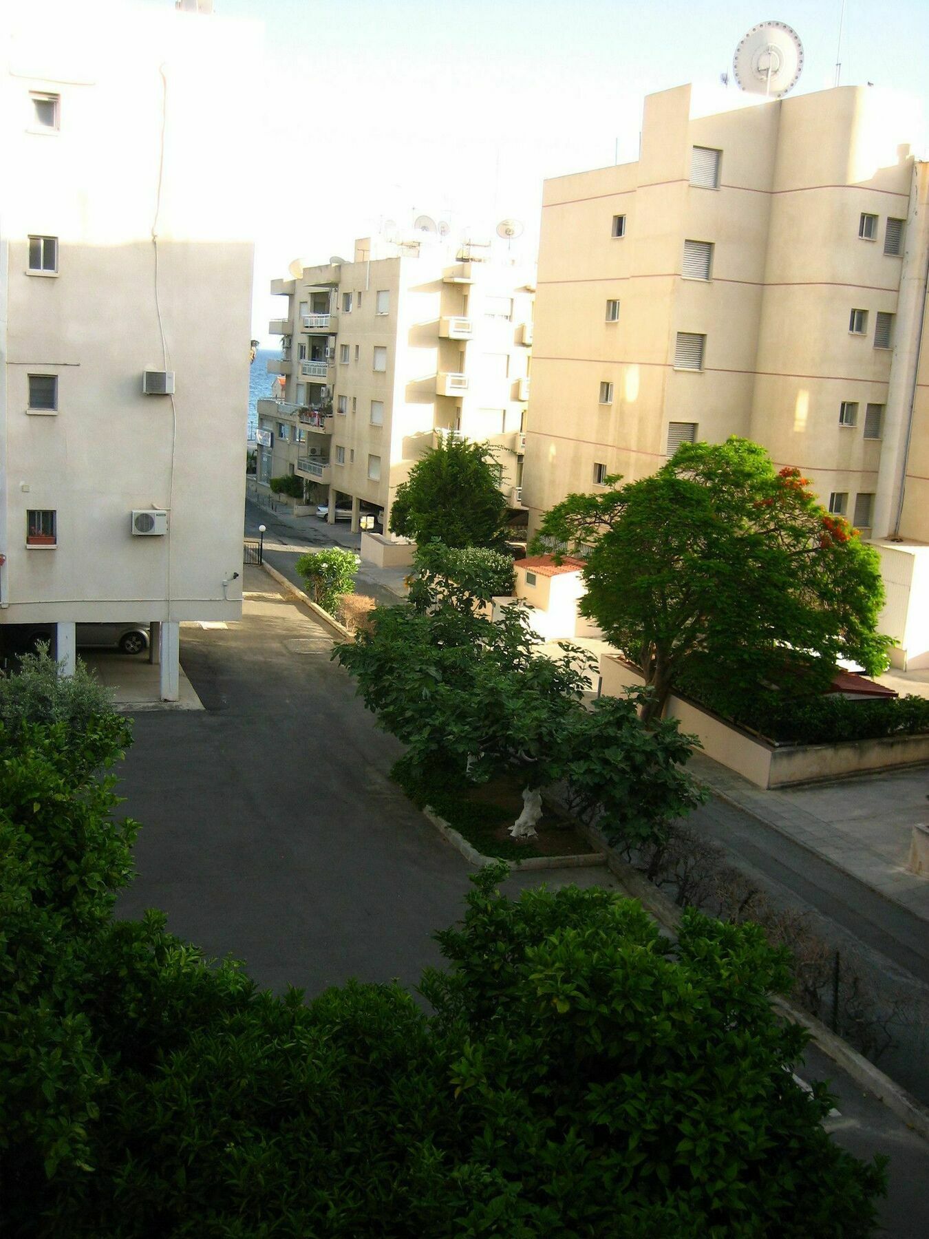Valley Modern *