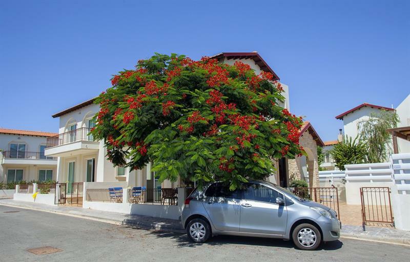 Protaras Anna Hotel 4*