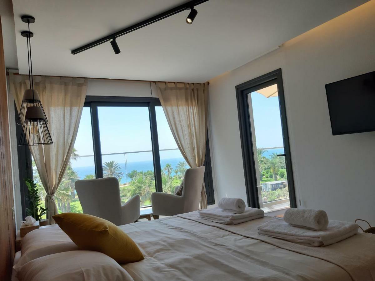Terrazza Paphos