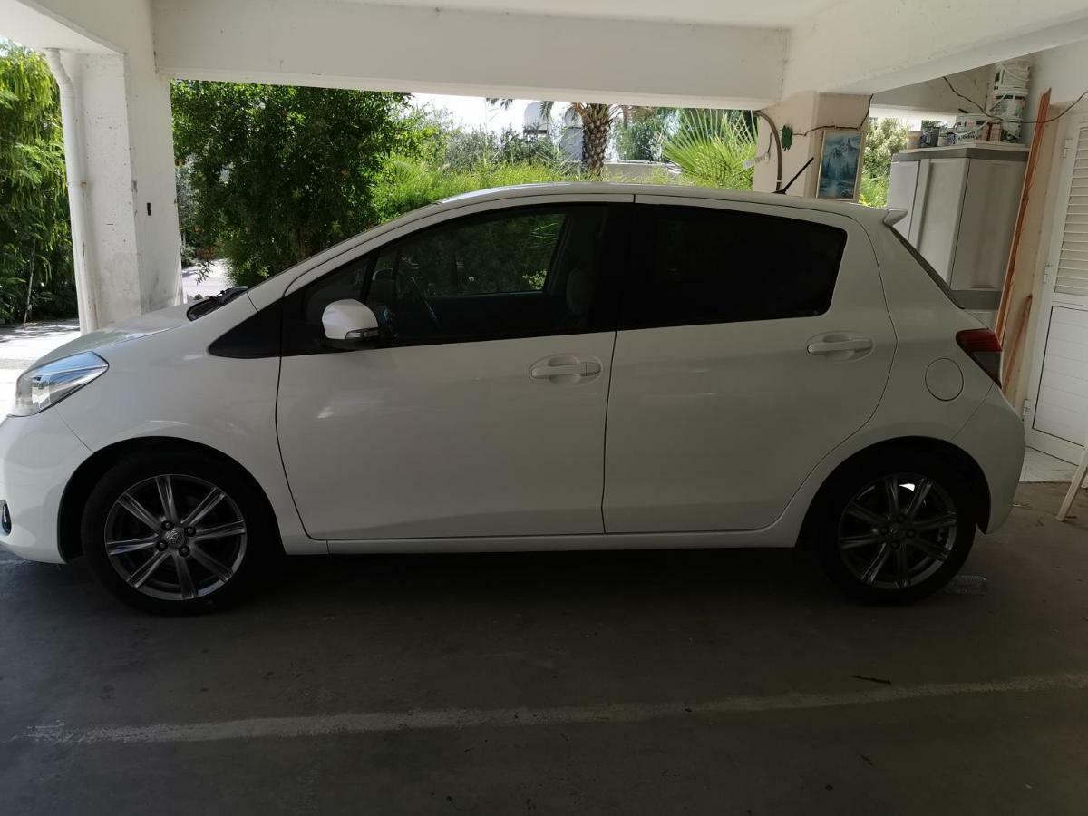 Siamese * Paralimni