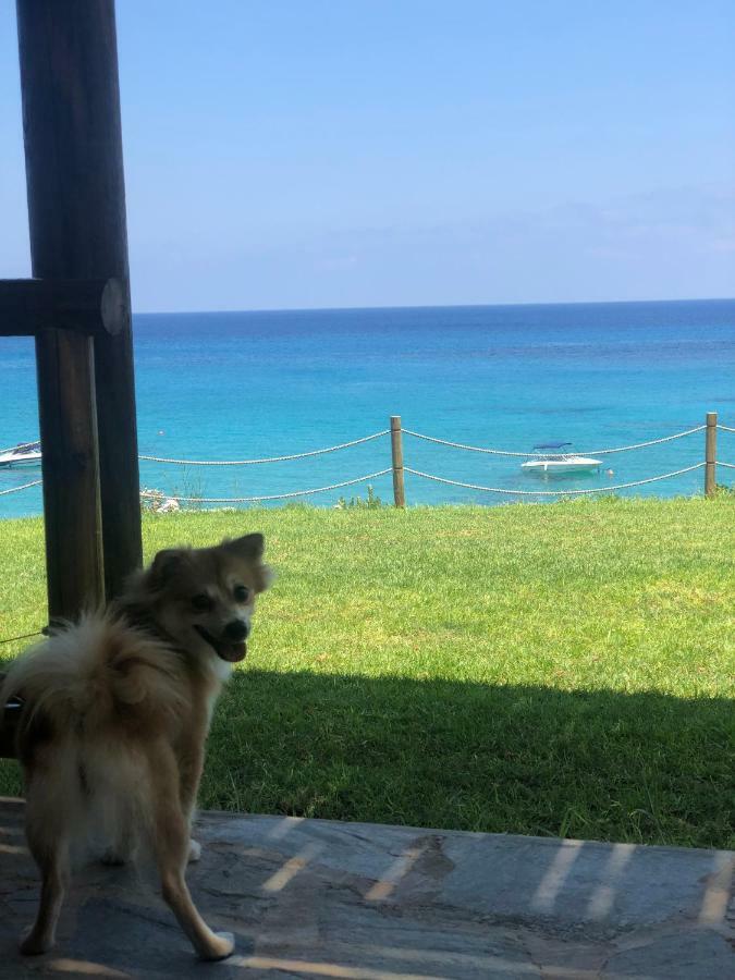 Appartement Mythical Sands - Good Vibes Paralimni