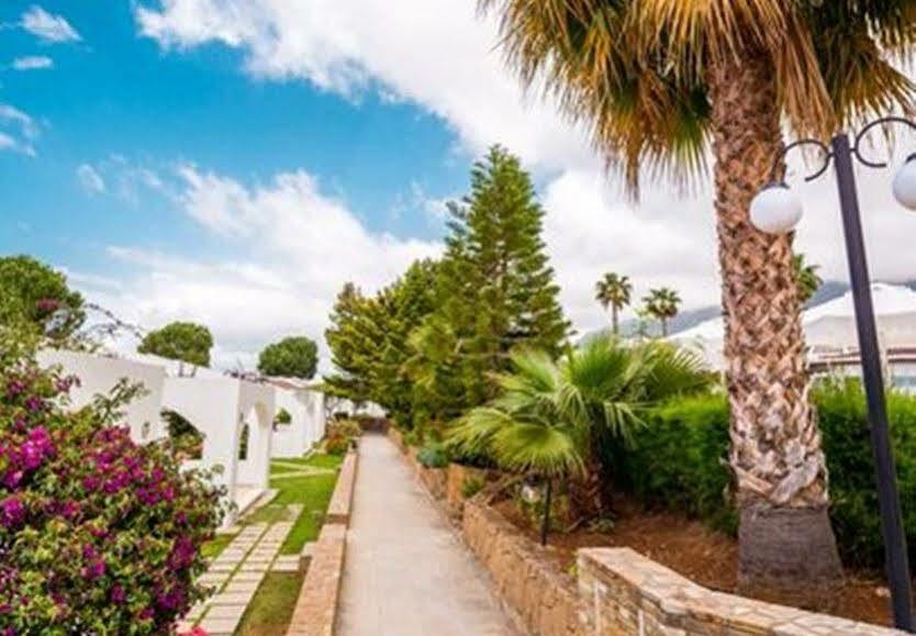 The Olive Tree Hotel 4*