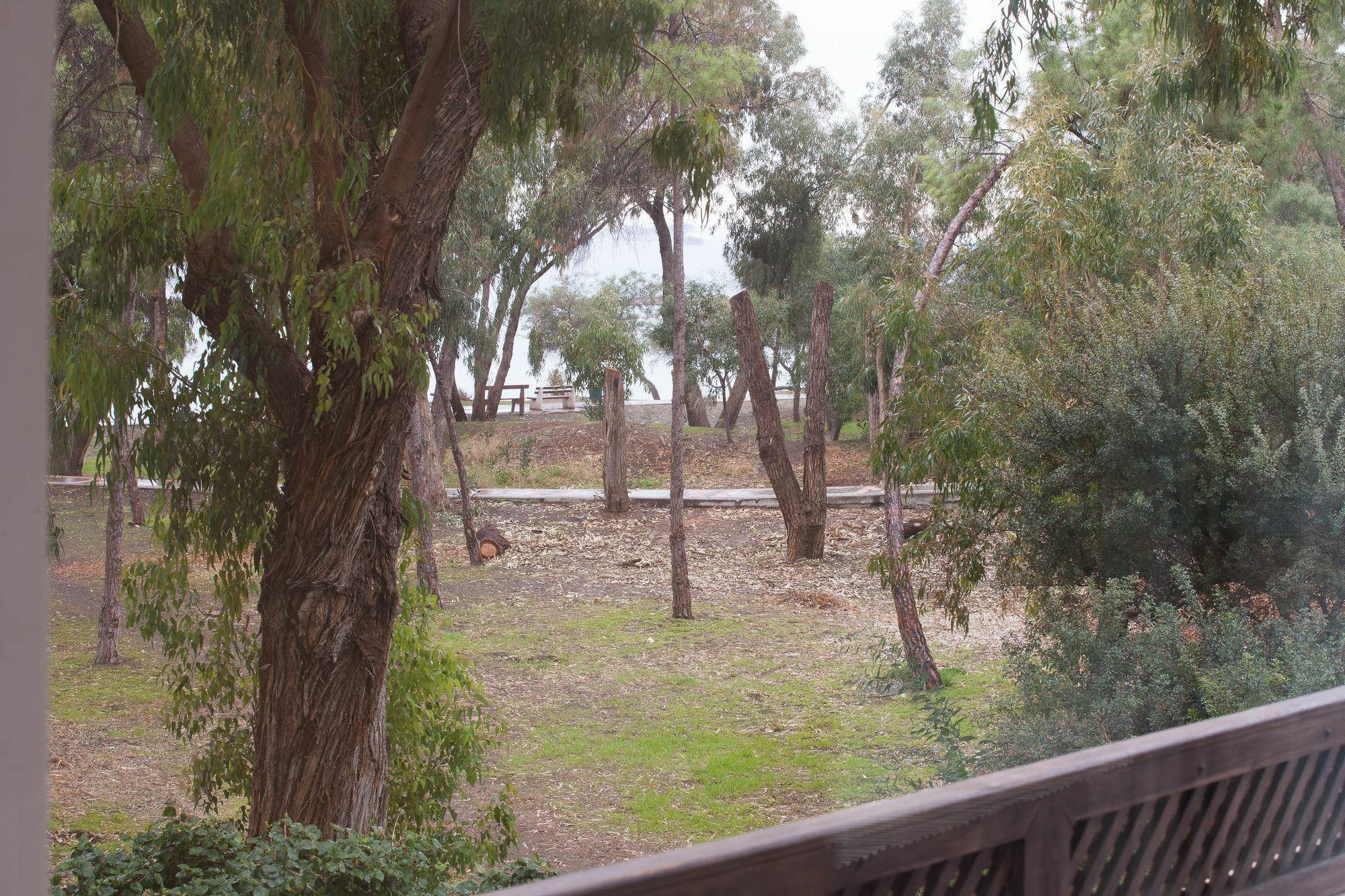 Dasoudi Beachfront Apartment Apartment *