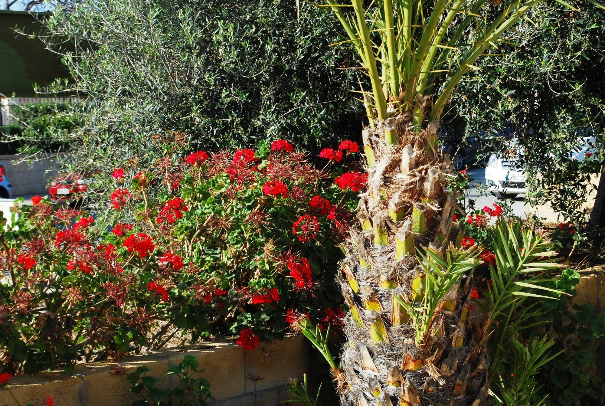 Georgia Aparthotel Paphos