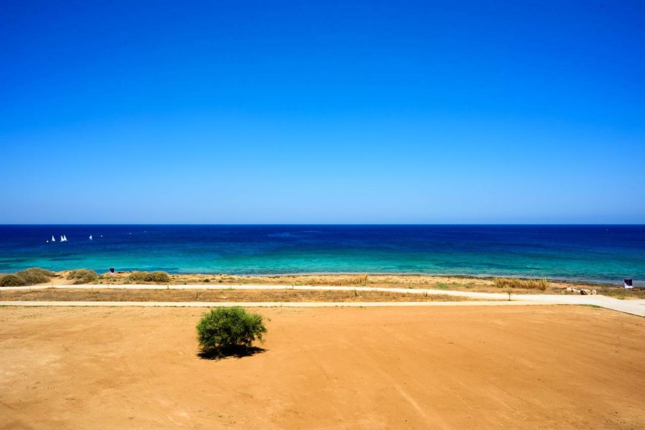 Indigo Protaras