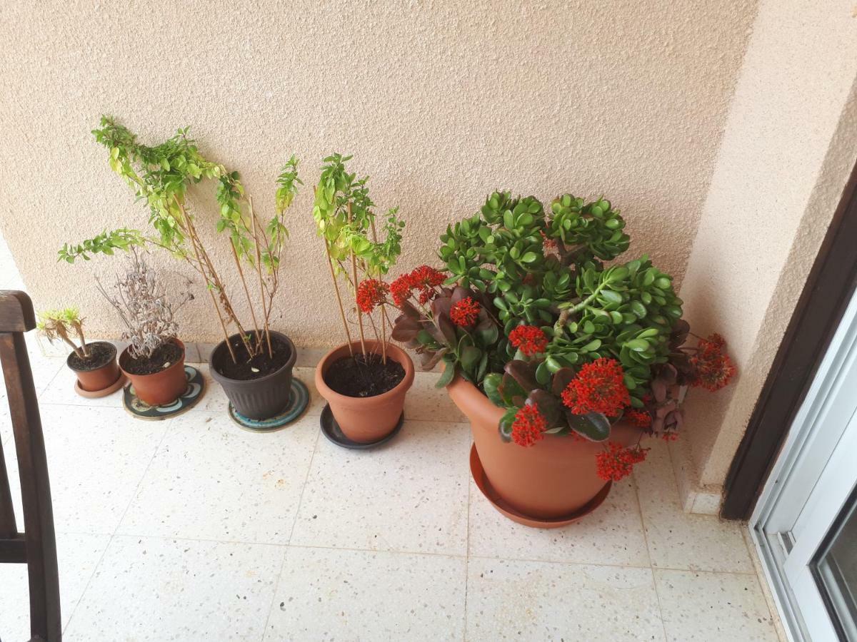 The Marilouize Apartment