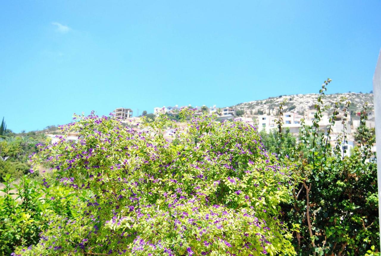 Villa Pegia *