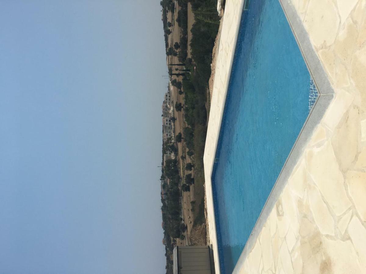 Orchard View *