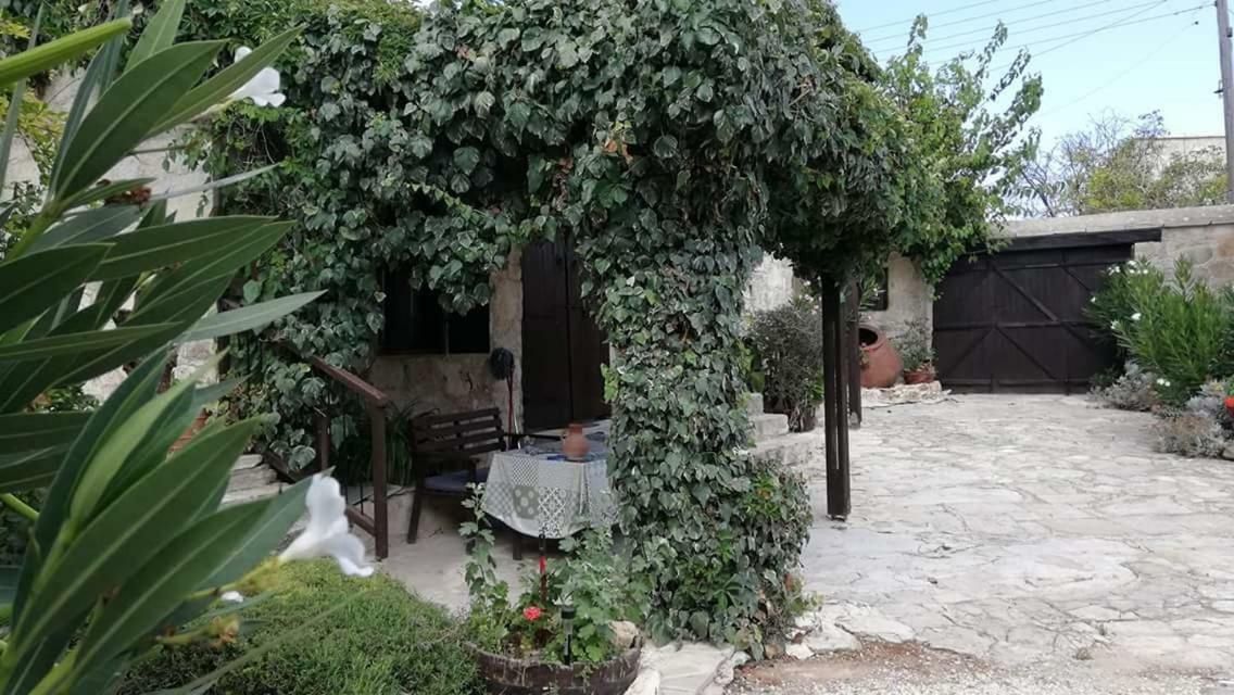 Loxandra Inn Kathikas