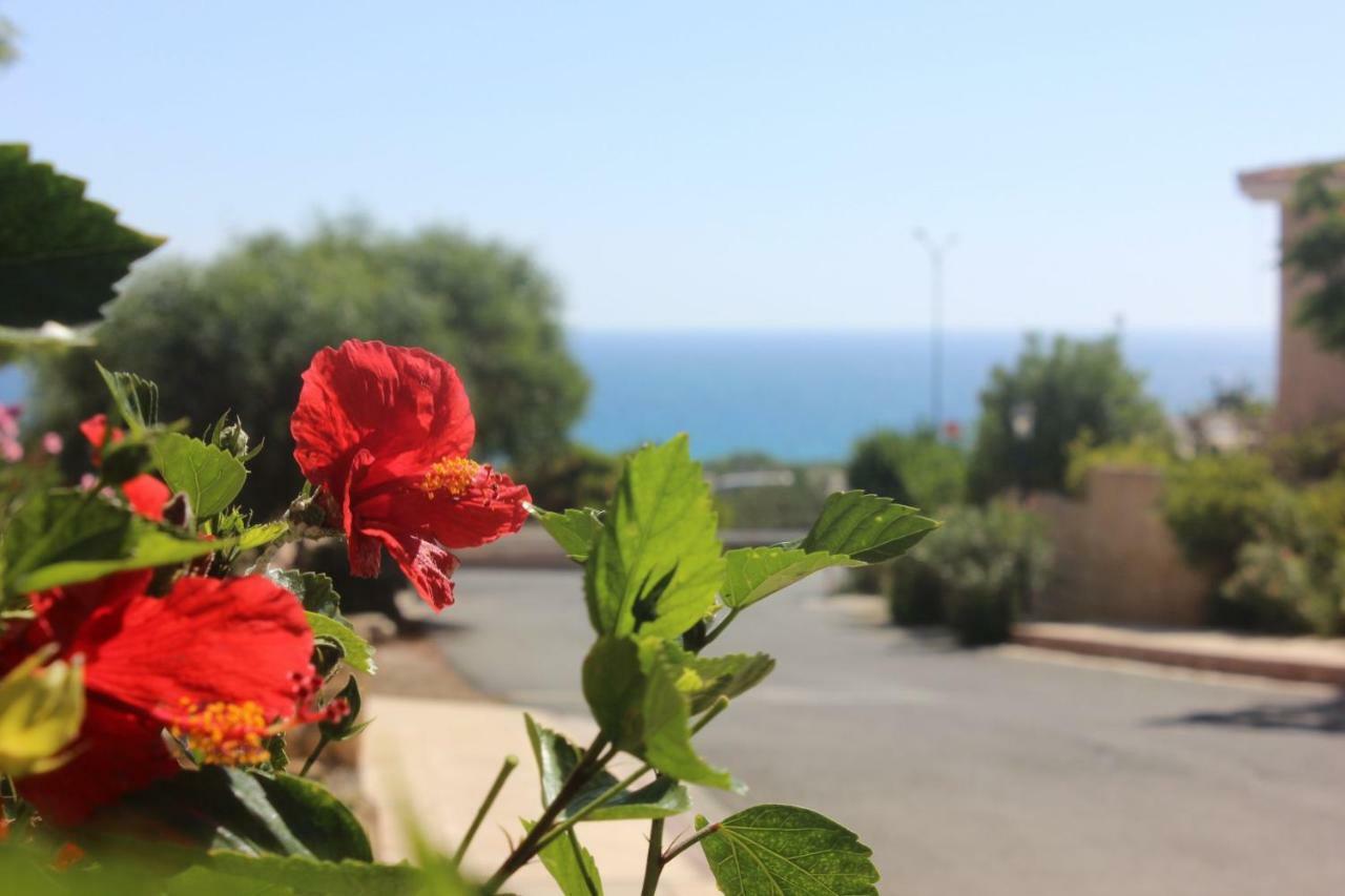 Appartement Kings Palace Indigo 109 Paphos
