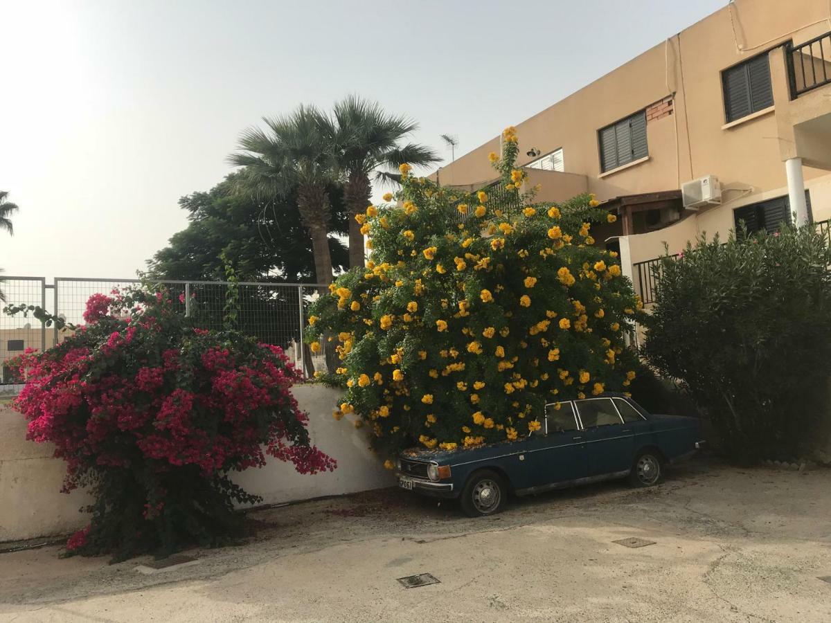 Theodoros Apt. 408 *