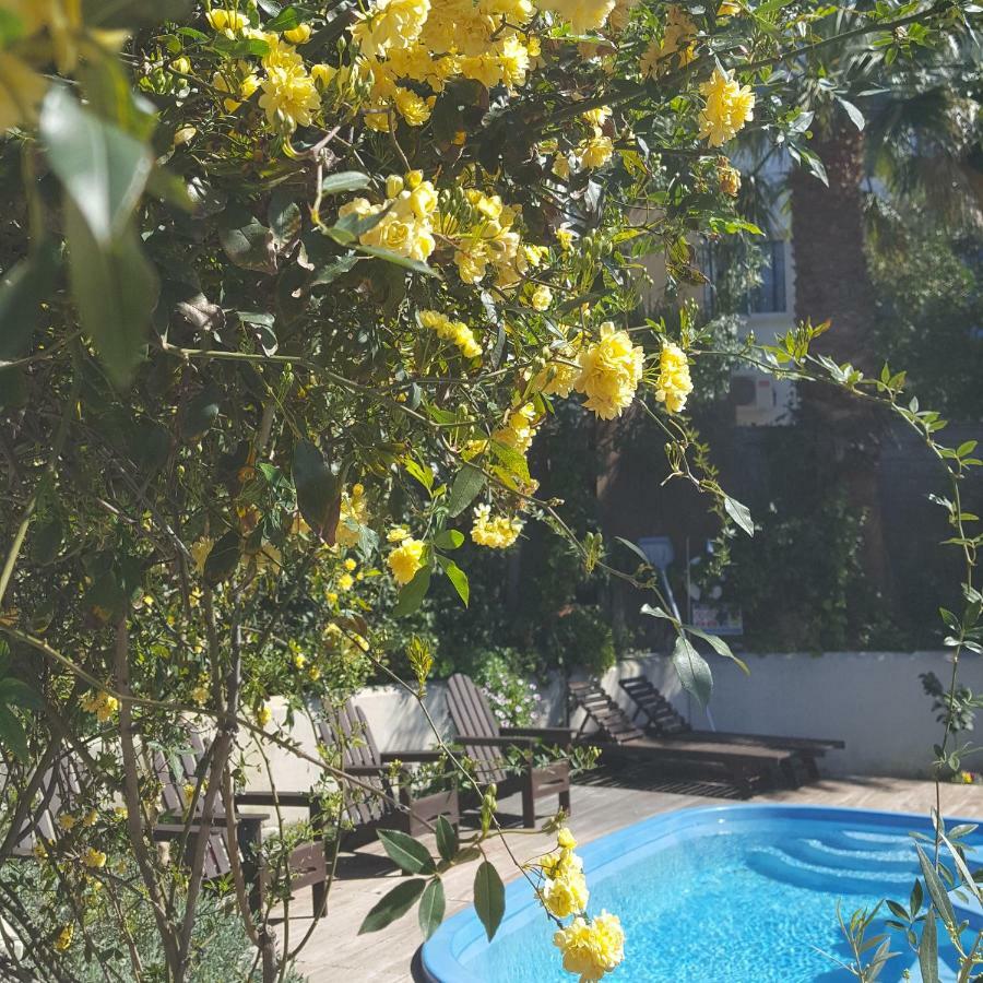 Vasilion Agrotourism Holiday home