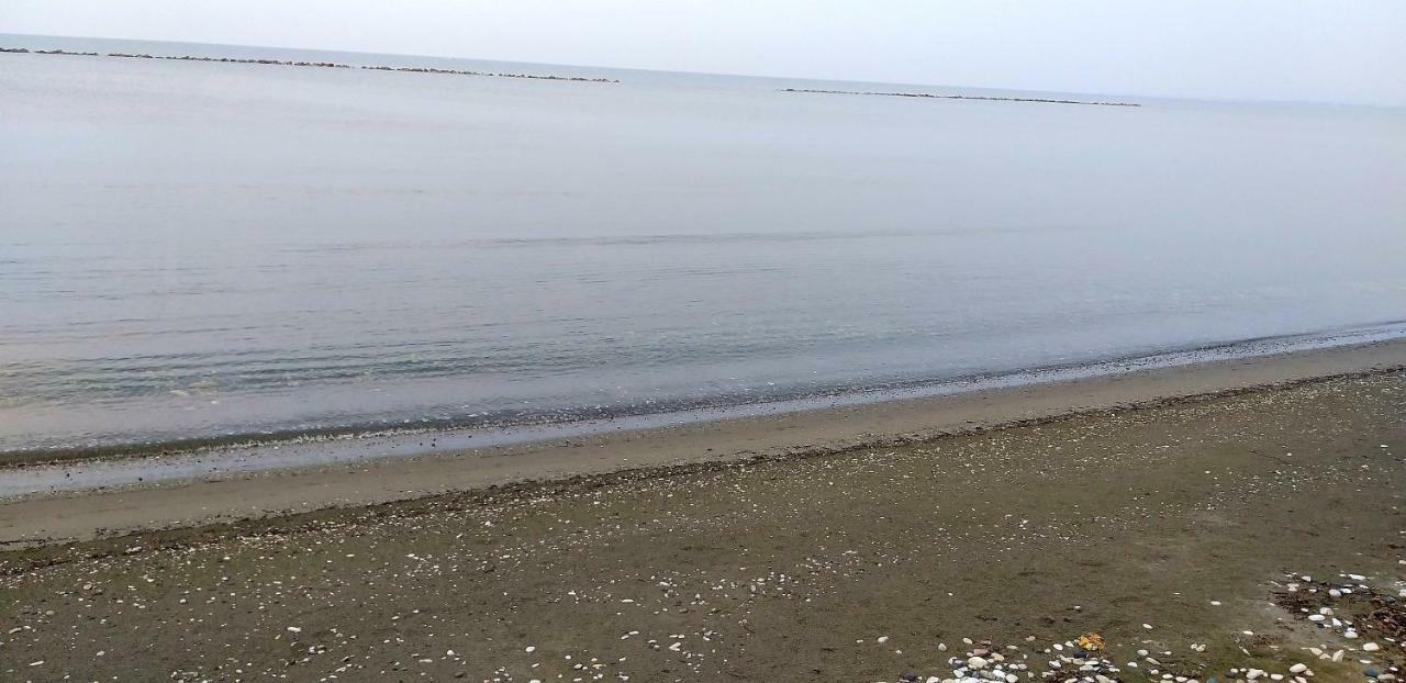 Mariliz * Larnaca