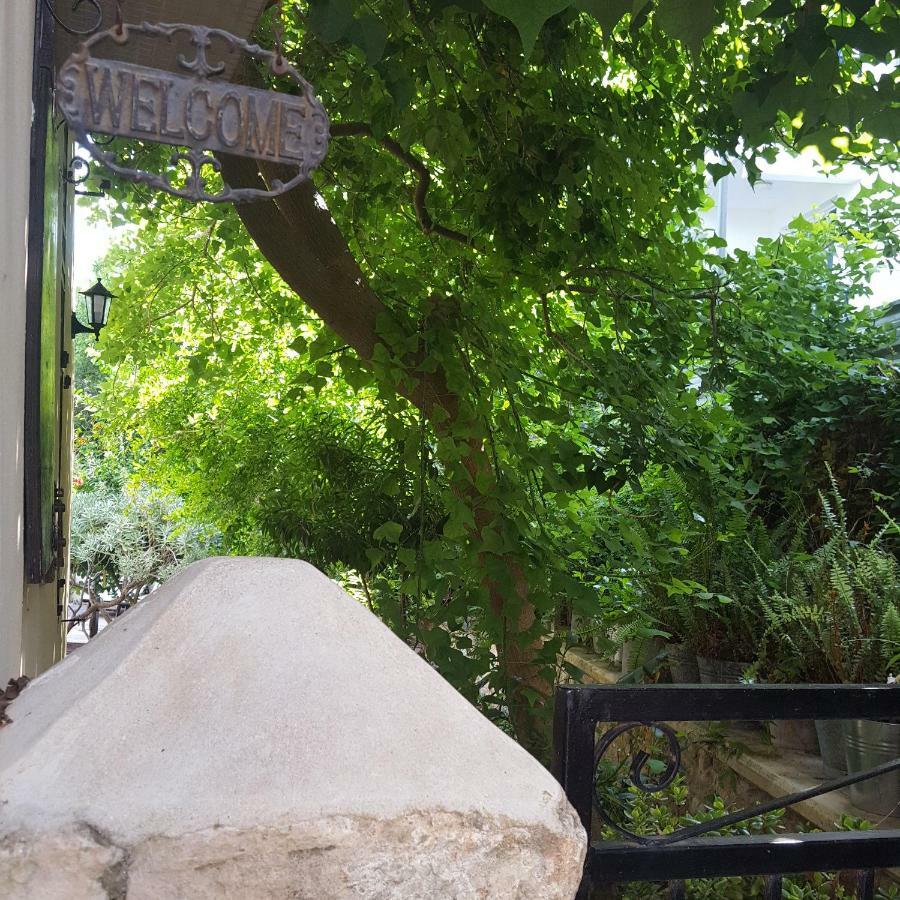 Vasilion Agrotourism Holiday home