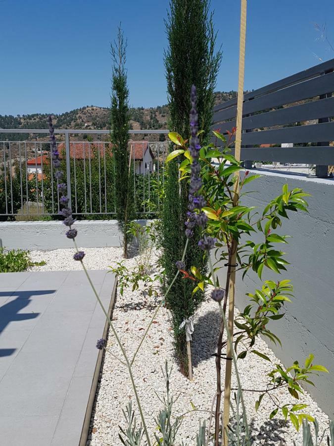 Apartment Evmelia *