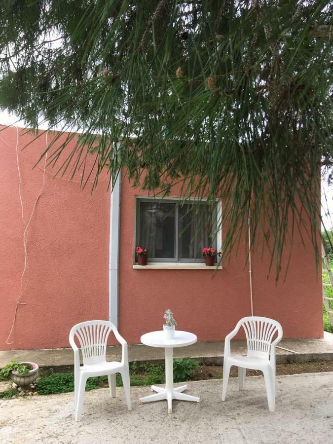 Detached Cozy Apartment *