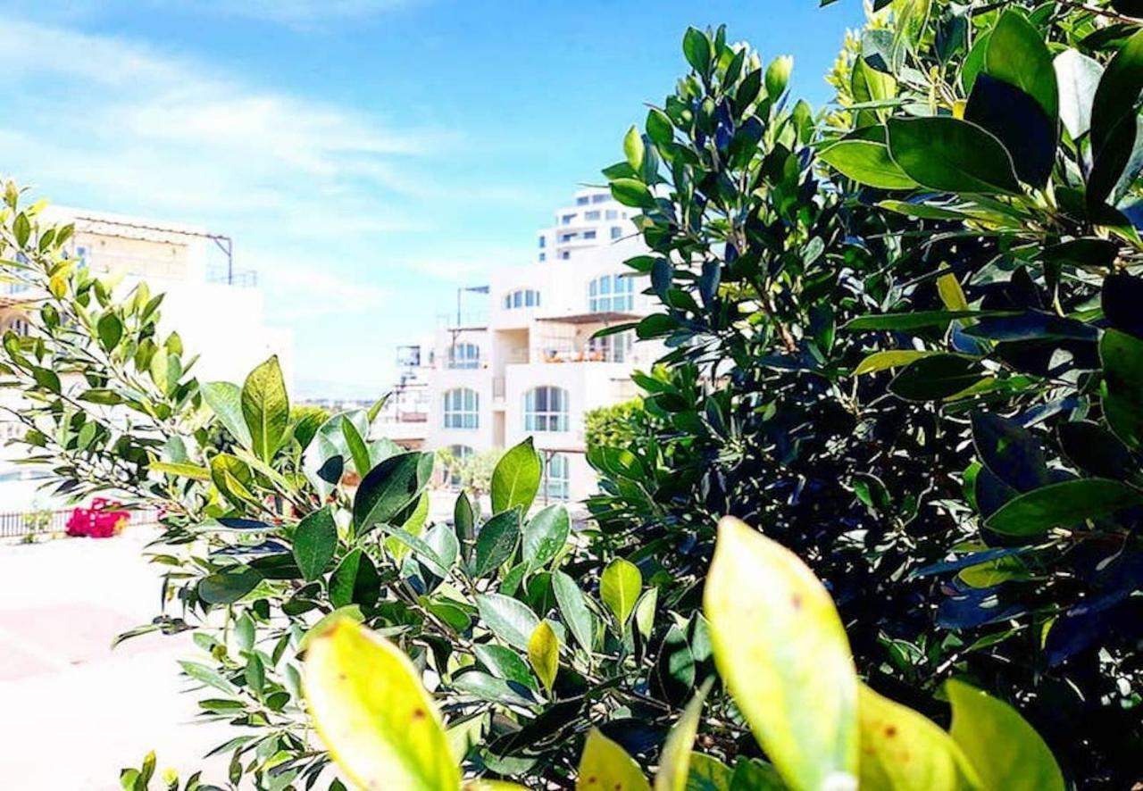 Apartment Aphrodite Apartments North Cyprus
