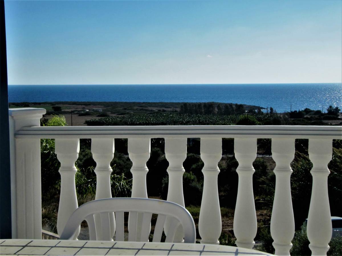 Dioni * Coral Bay