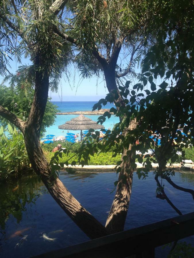 Pallinio Court 402 Fig Tree Bay- Beach, Iasonos Str 7a Apartment *