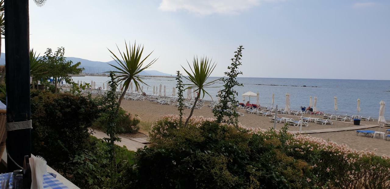 The Summer House Polis
