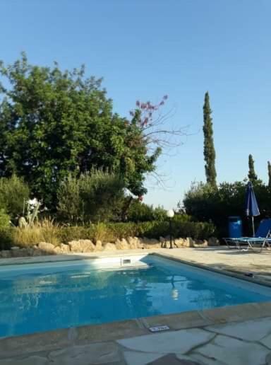 Villa Olive Tree *