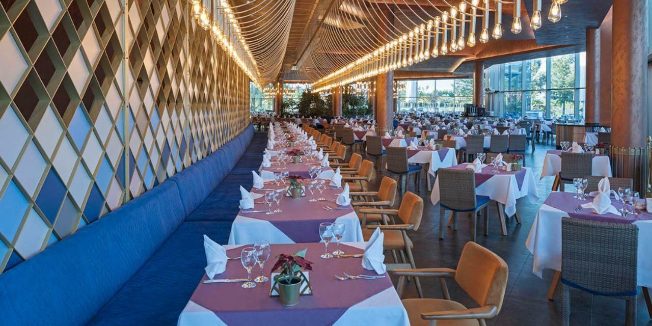 Noah's Ark Deluxe & Famagusta (Northern Cyprus)