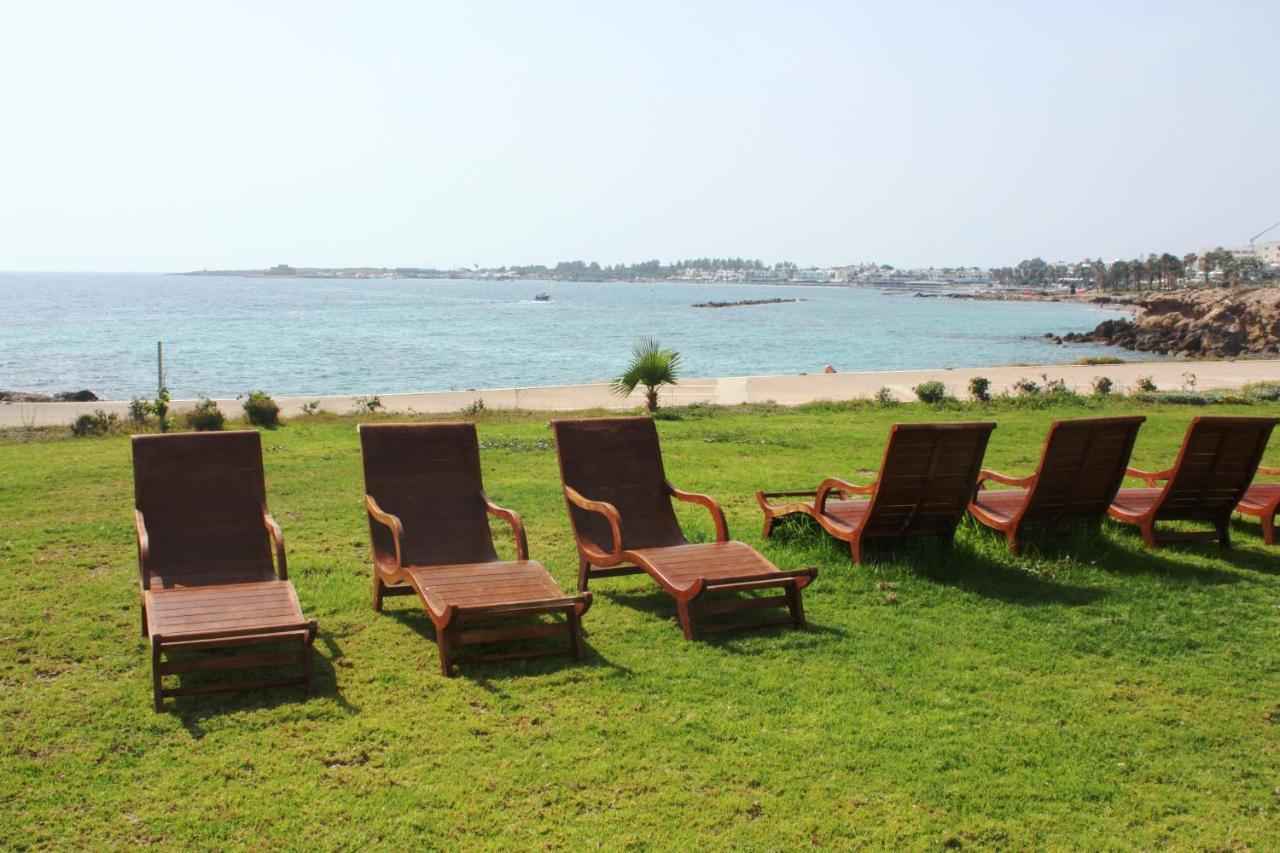 Amphora & Paphos
