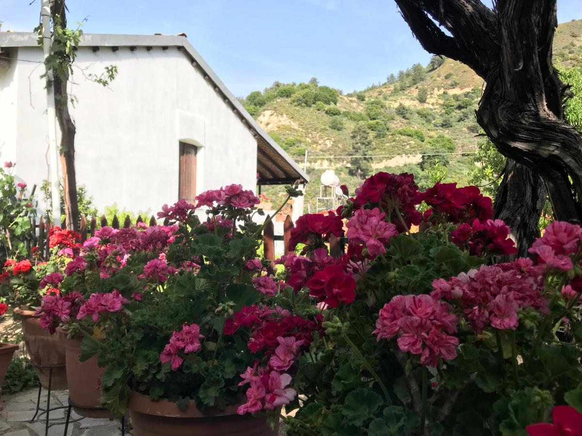 Apartamento Giannoullas Luxury2bedroom House In *