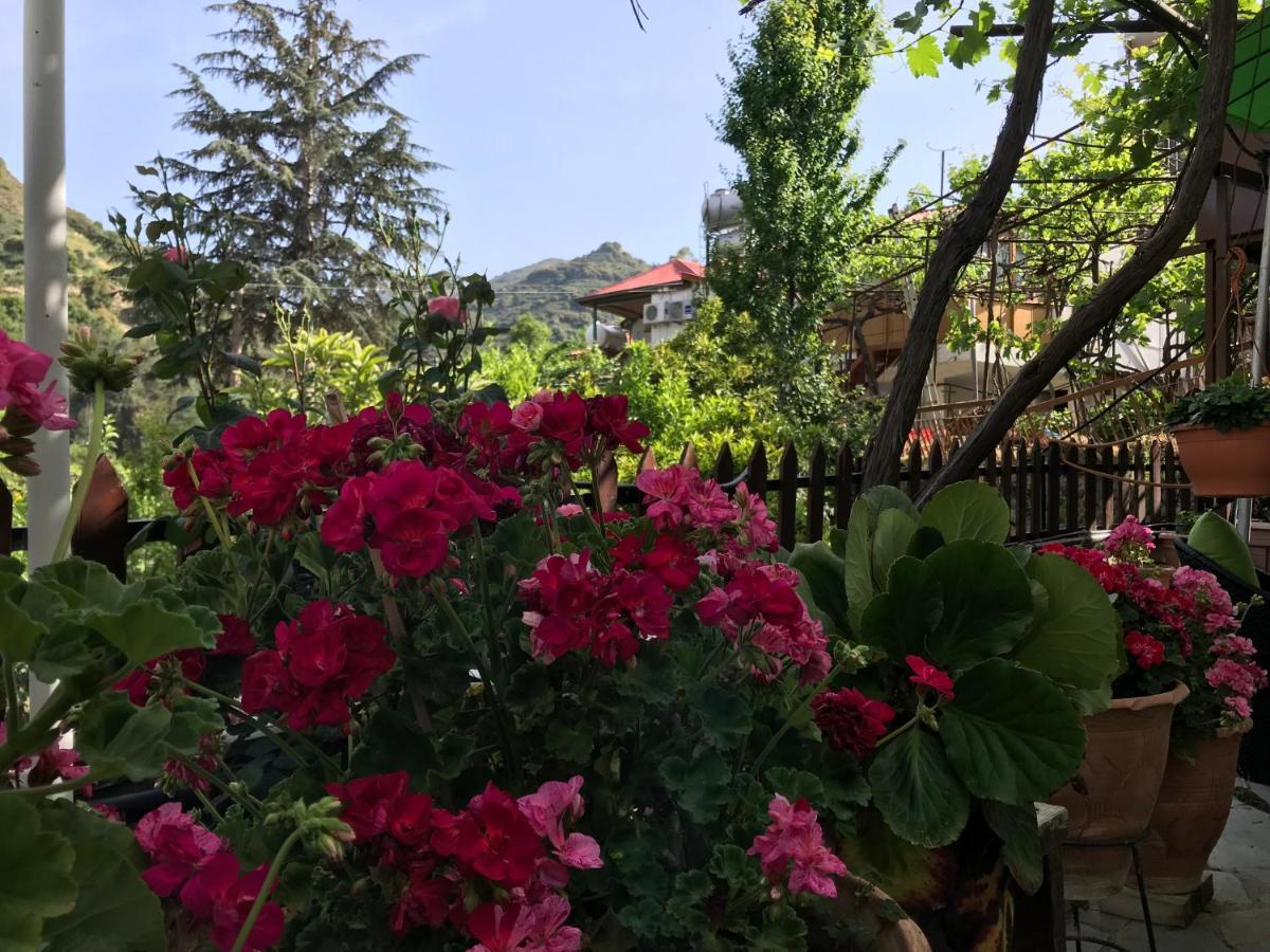 Apartamento Giannoullas Luxury2bedroom House In Kalopanagiotis
