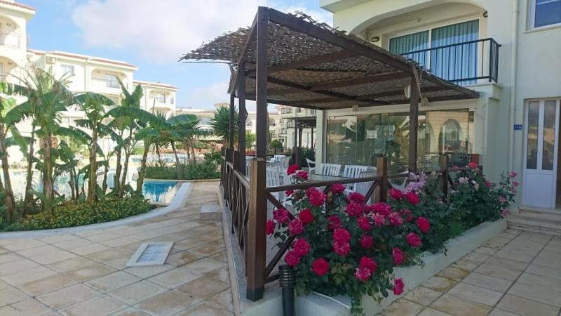 Sunrise Club * Gastria