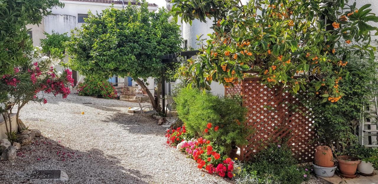 The Summer House Vakantiehuis Polis