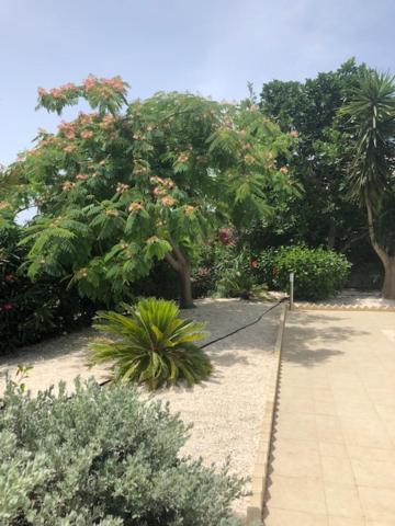 Villa Olivia,