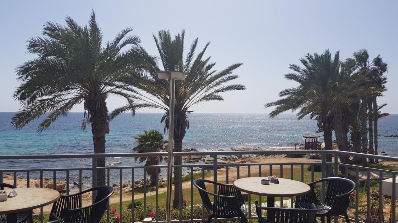 Oasis Polis