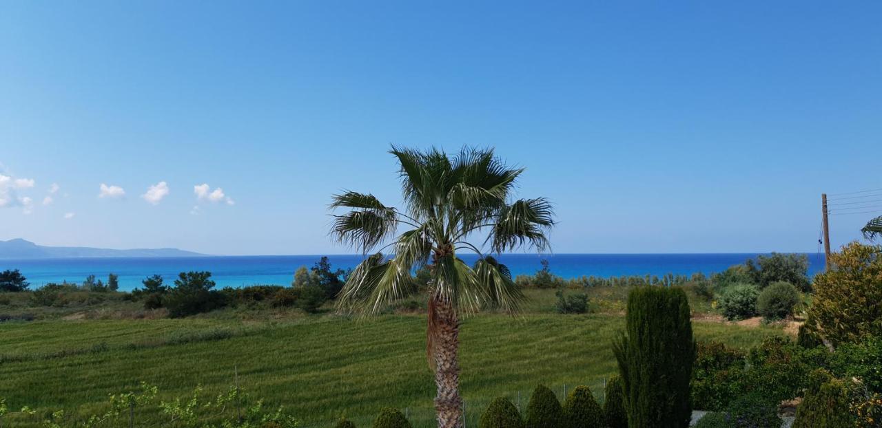 Bimini Pousada *