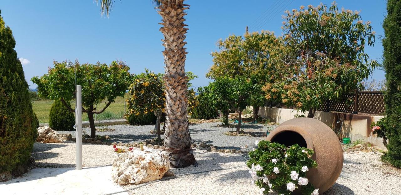 Bimini Pousada *