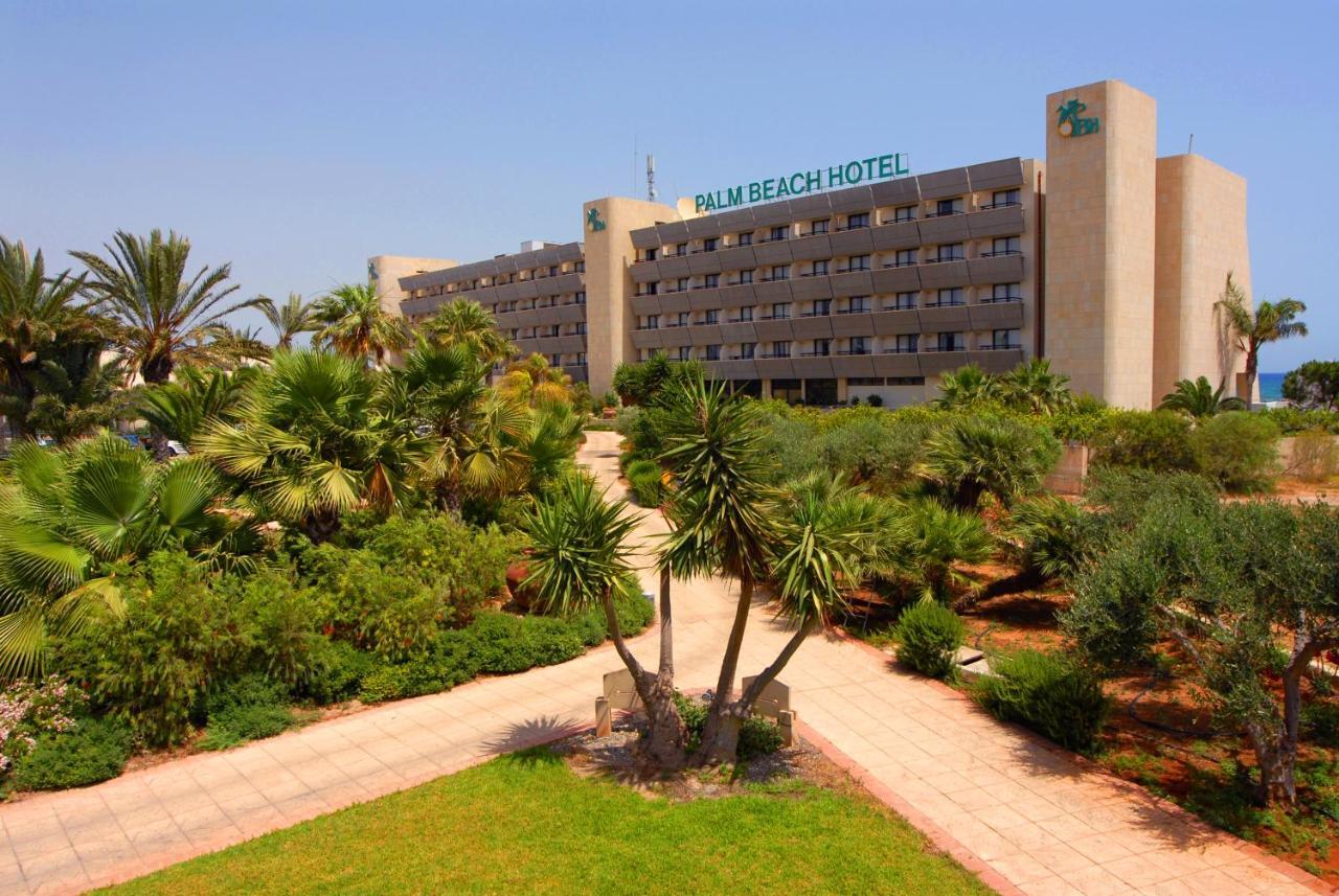 Resort Palm &