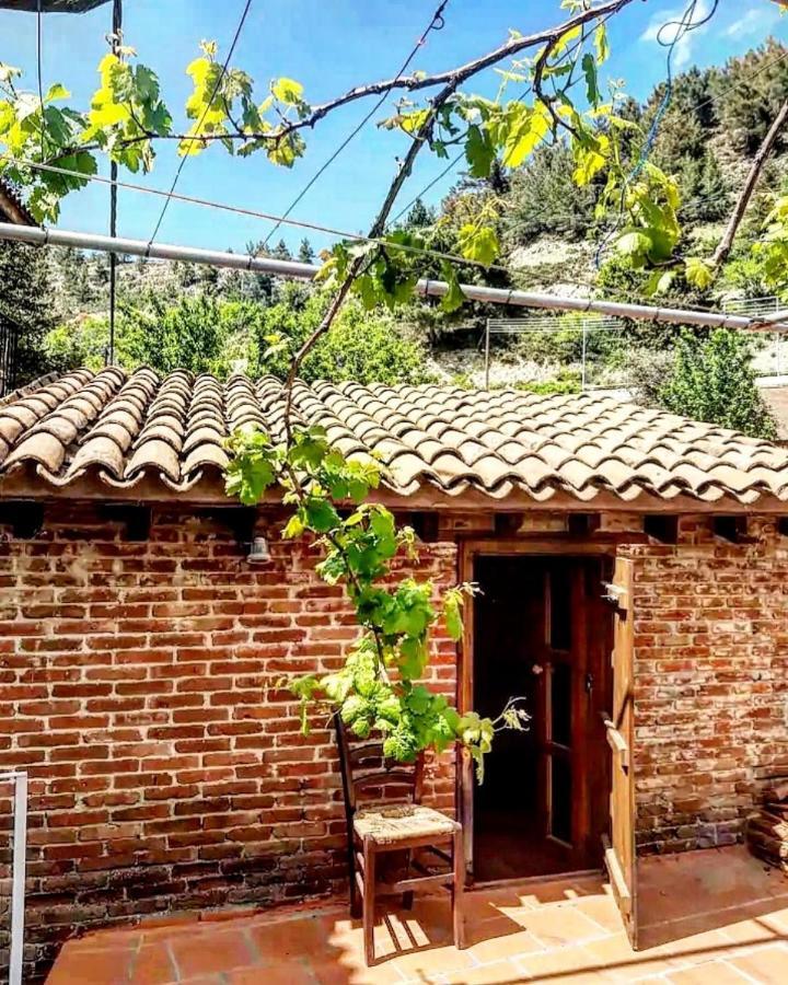 Madari Hills Health Retreat Holiday home Nicosia