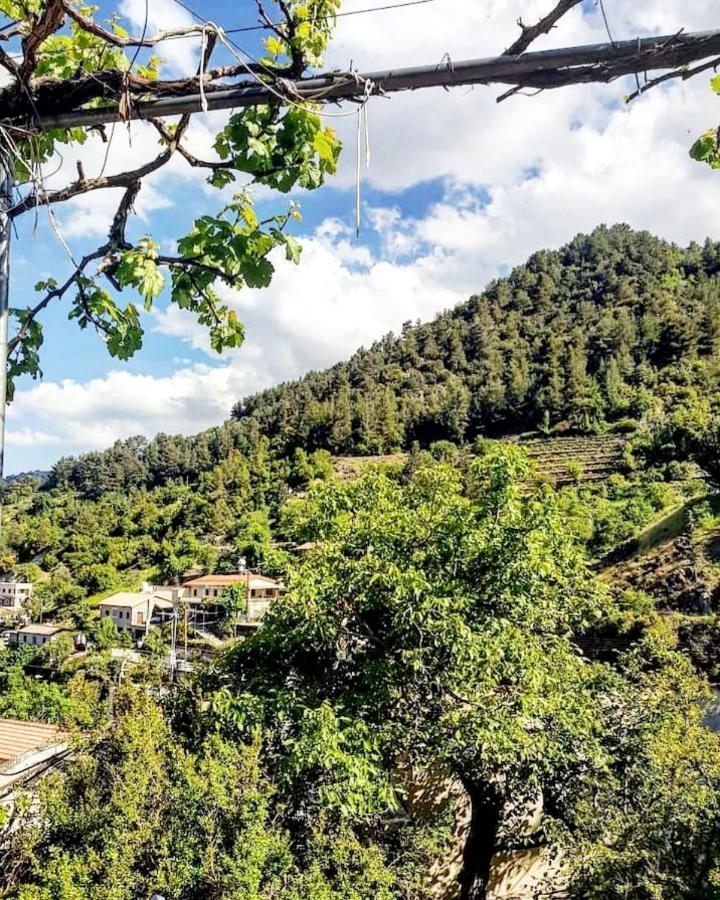 Madari Hills Health Retreat Nicosia