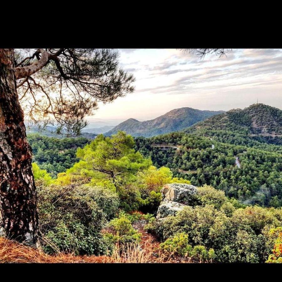Madari Hills Health Retreat Holiday home Nicosia