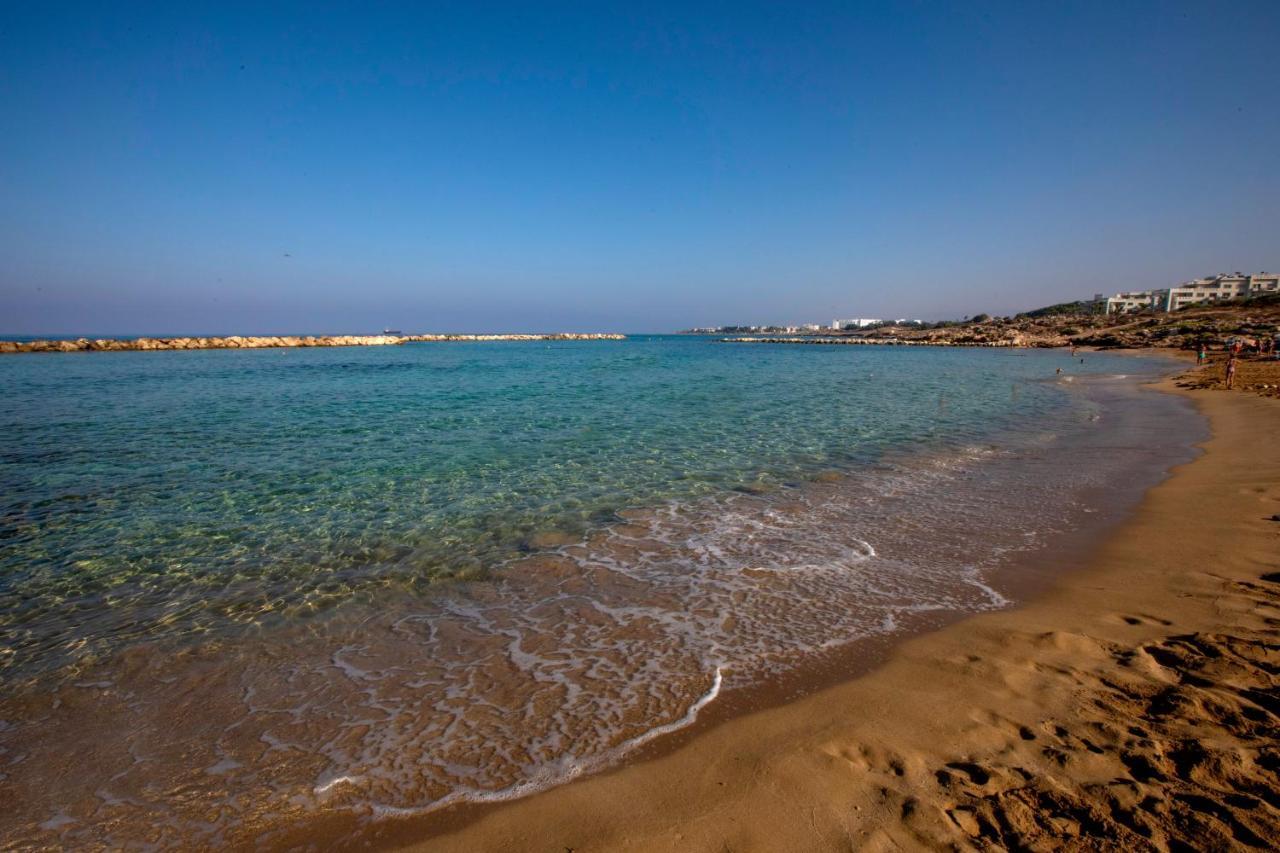 Ifestos Kings Paphos