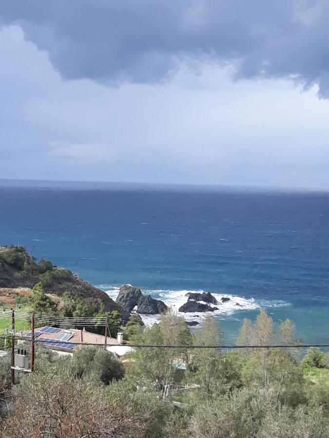 Paradise Blue Villa Pomos