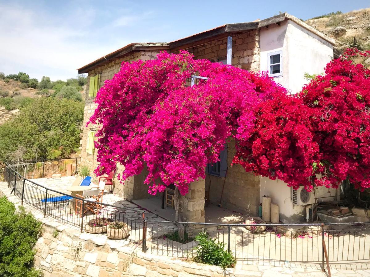 Vasilikos House Aparthotel