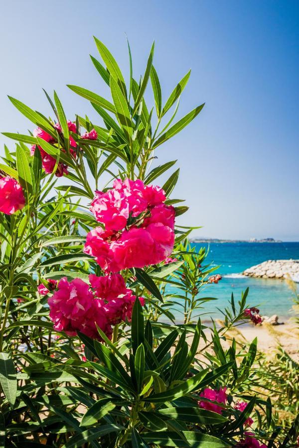 Apartamento Comfortable One-bedroom Near The Sea And Casino Merit Park Sel 2-6
