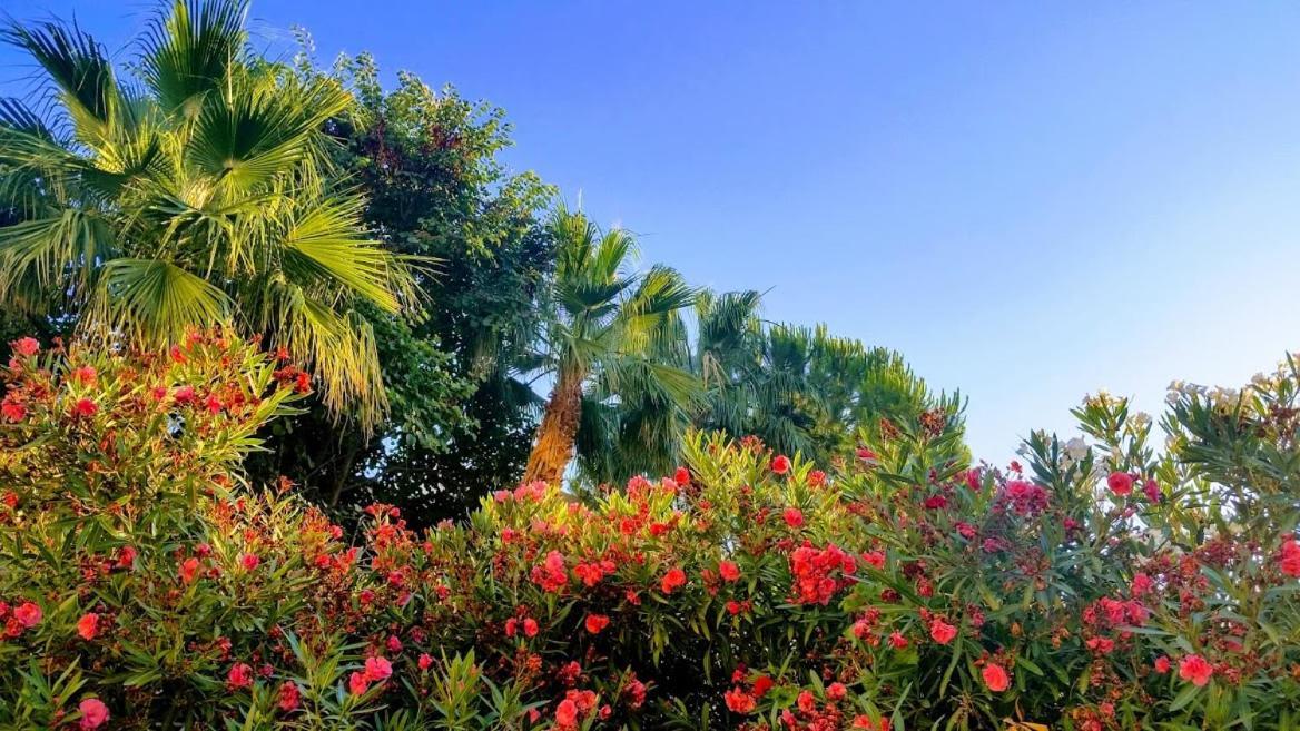 Paradise Kazaphani