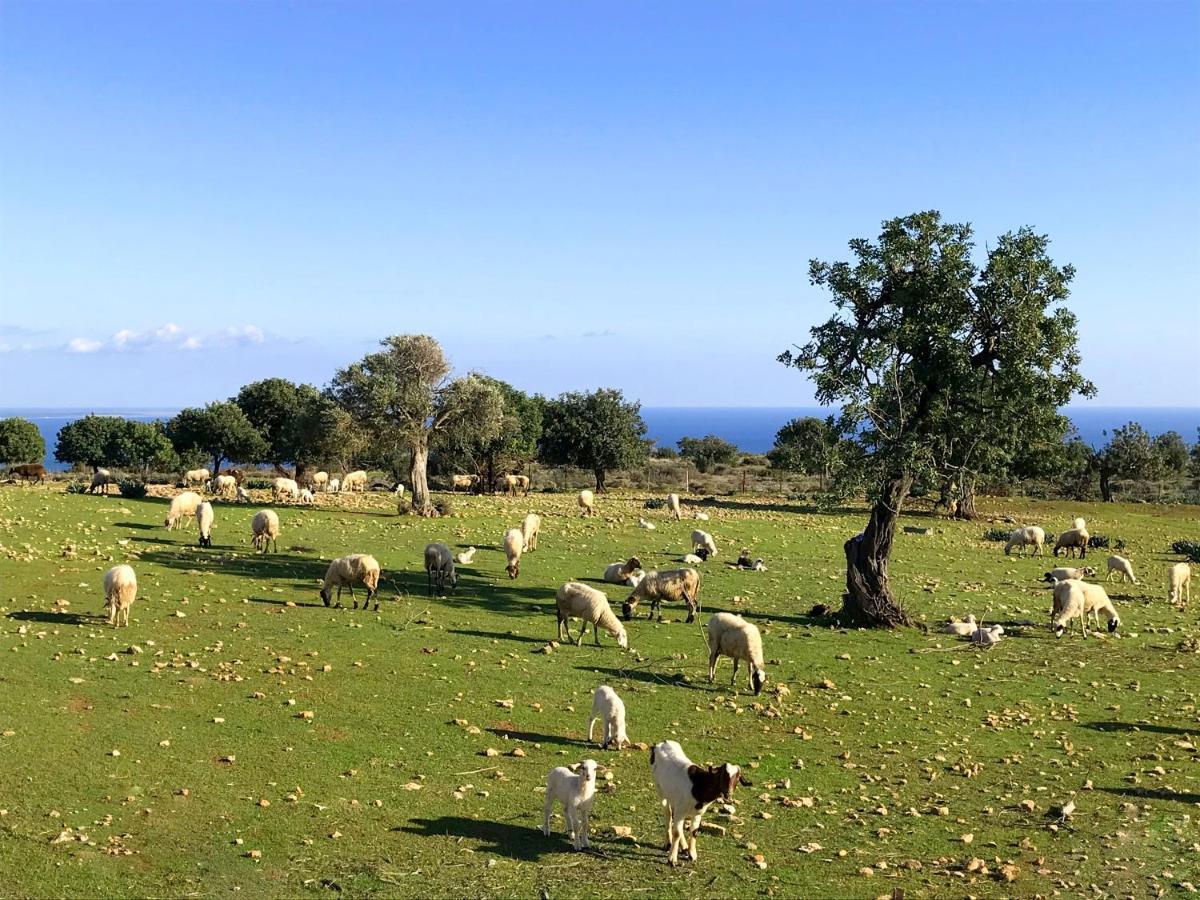 Amathousia With Private Pool And Sea View Pissouri