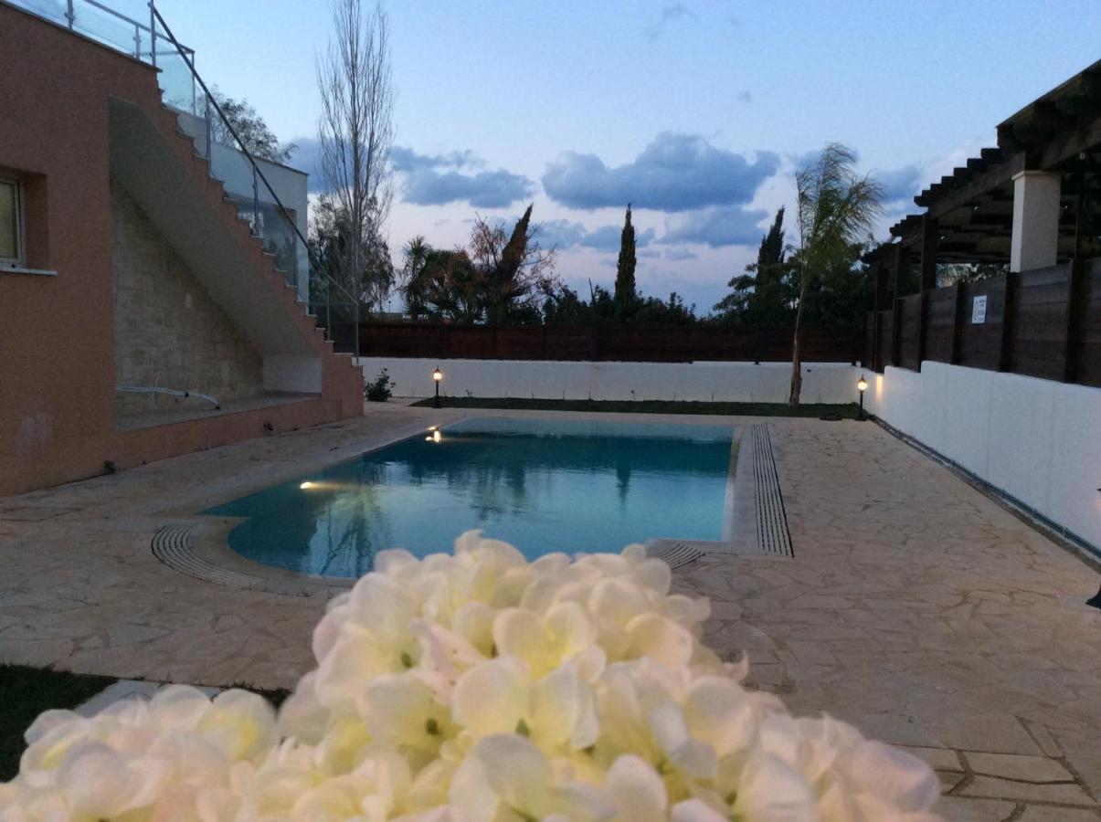 Dream House Latchi * Polis