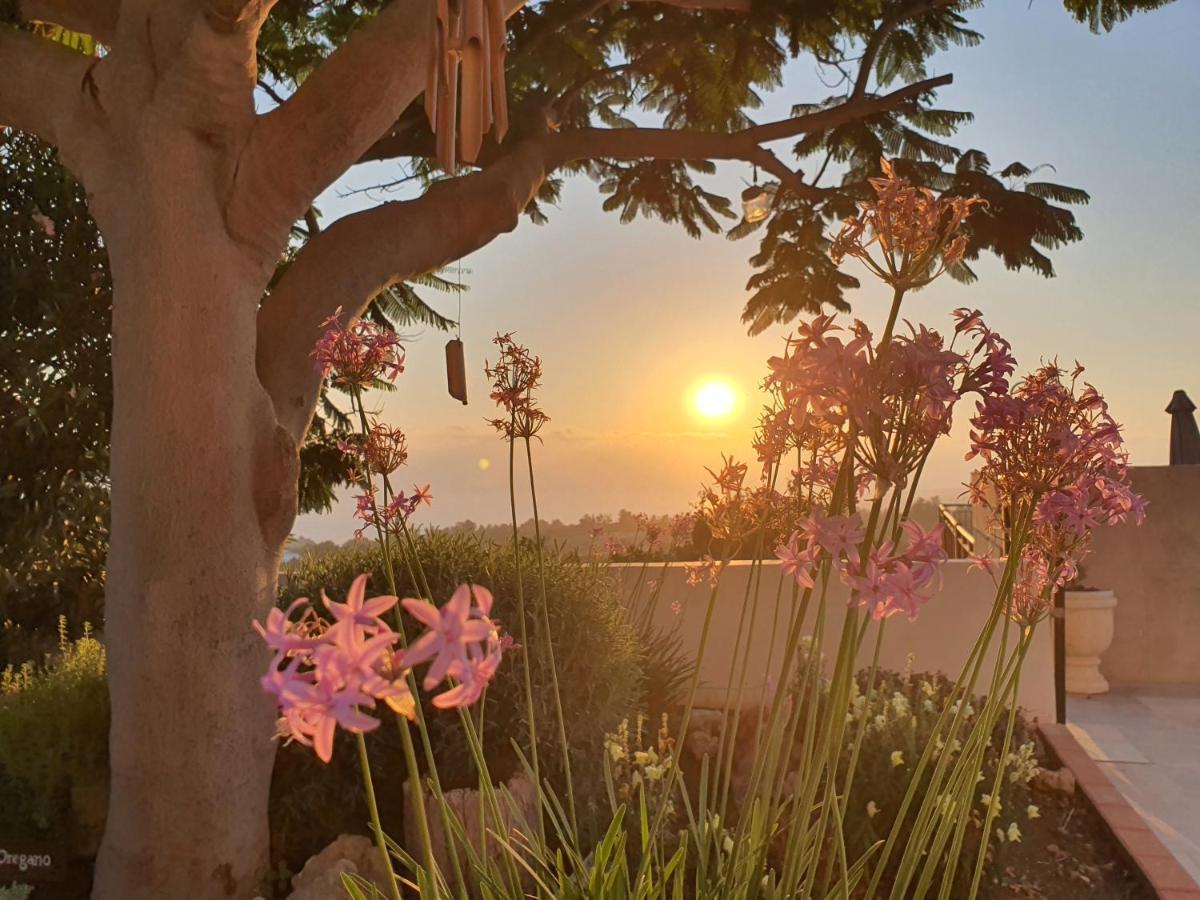 Villa Coral Sunset *