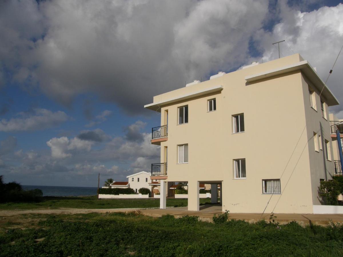 Athena And The Owl Beachside Bed & Breakfast Paphos